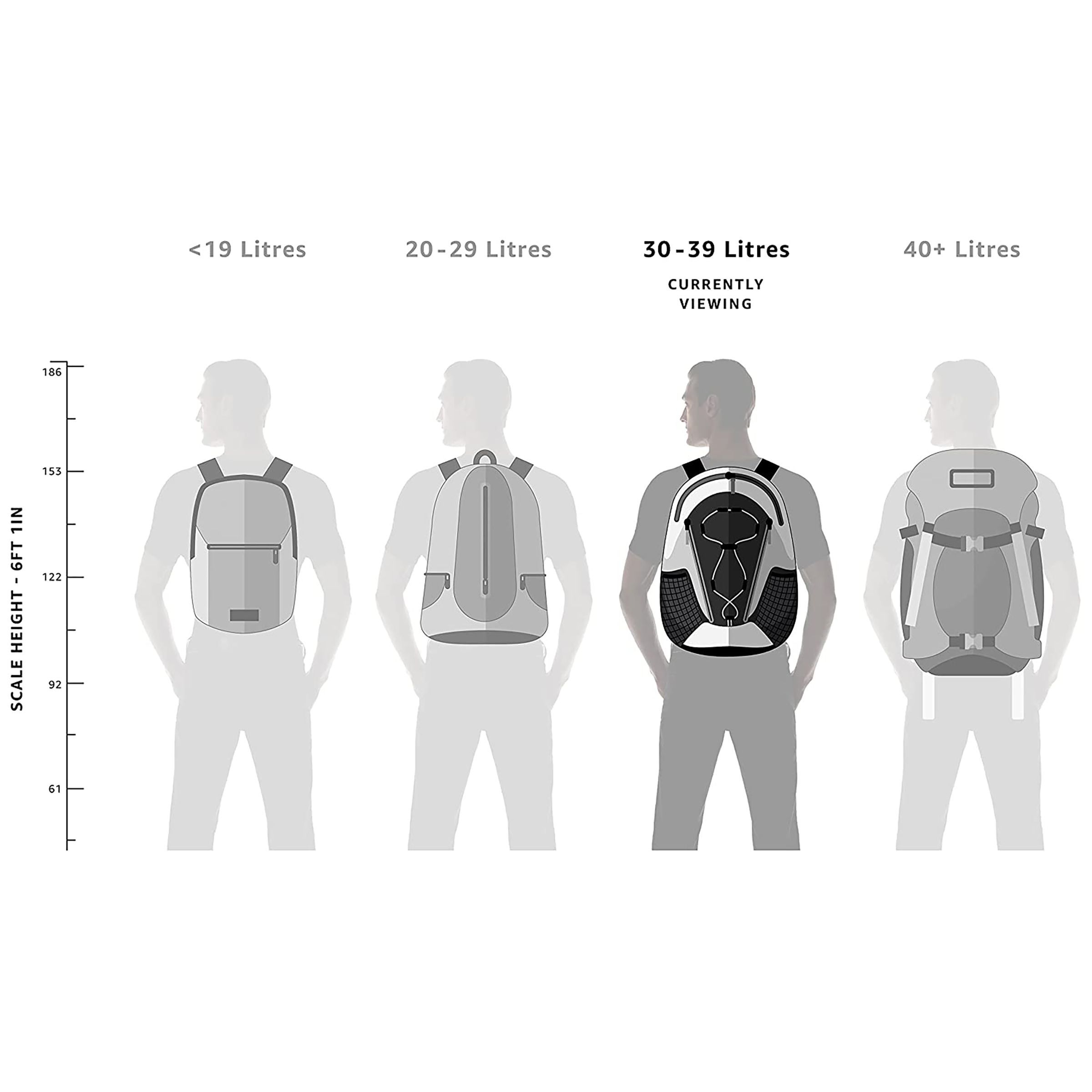 Skybags New Neon 32 Litres Polyester Backpack (3 Compartments, BPNNE18HBLU, Blue)_7