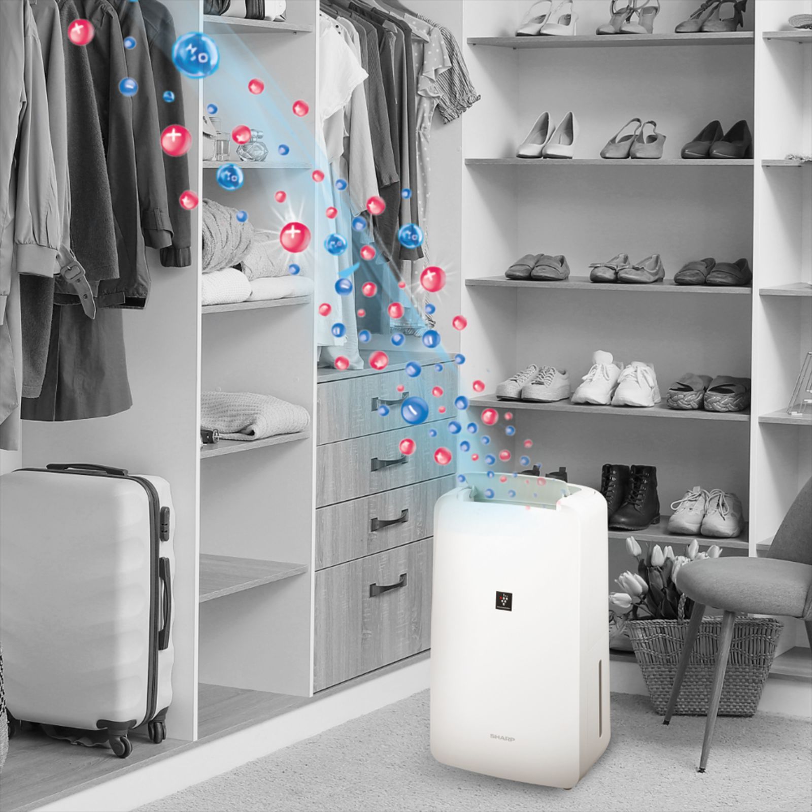 SHARP Room Air Dehumidifier with PlasmaCluster Ion Technology (Child Lock, White)_5