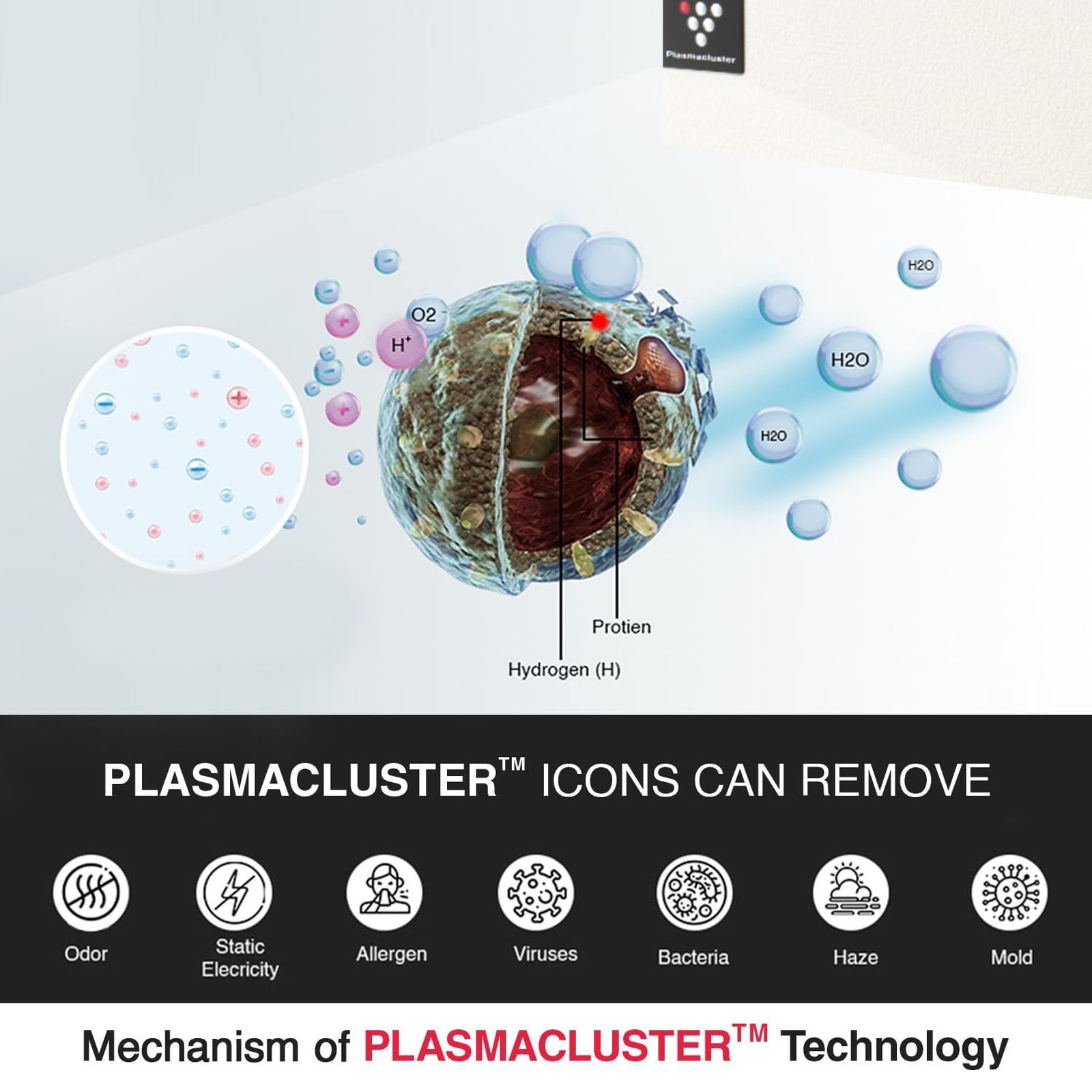 SHARP FP-S40M-W Air Purifier with Remote Control (Plasmacluster Ion Technology, Off White) SHARP FP-S40M-W Air Purifier with Remote Control (Plasmacluster Ion Technology, Off White)_7