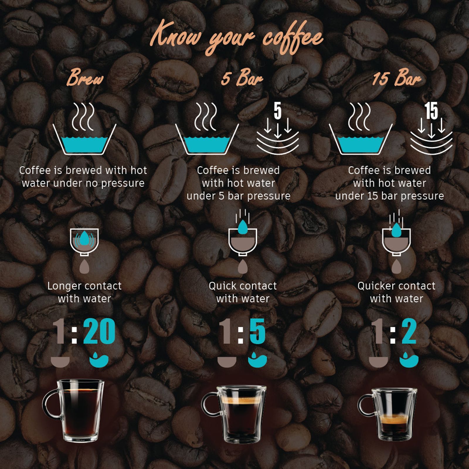 WONDERCHEF Regalia 1000 Watt 4 Cups Automatic Espresso, Cappuccino & Latte Coffee Maker with Removable Drip Tray (Steel)_9