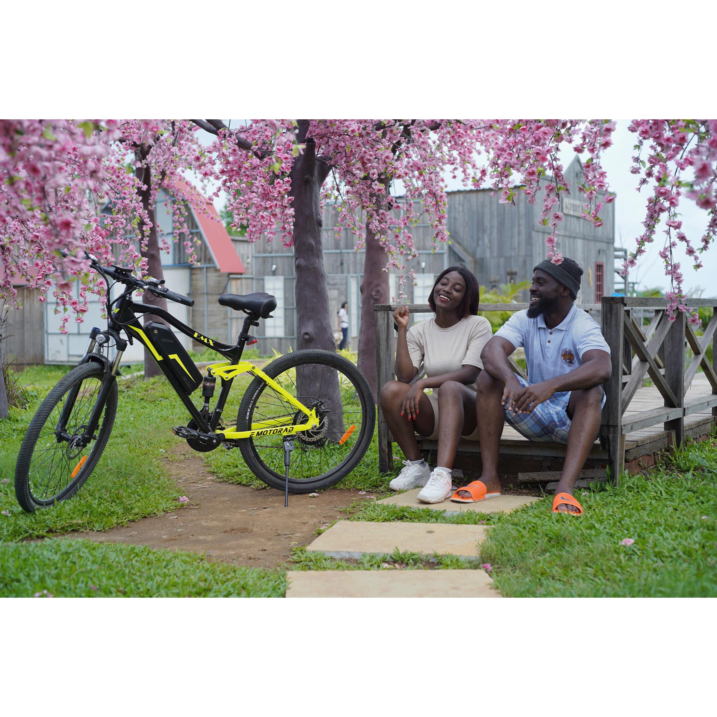 E MOTORAD EMX Electric Bike (25Kmph, M042, Multicolor)_9