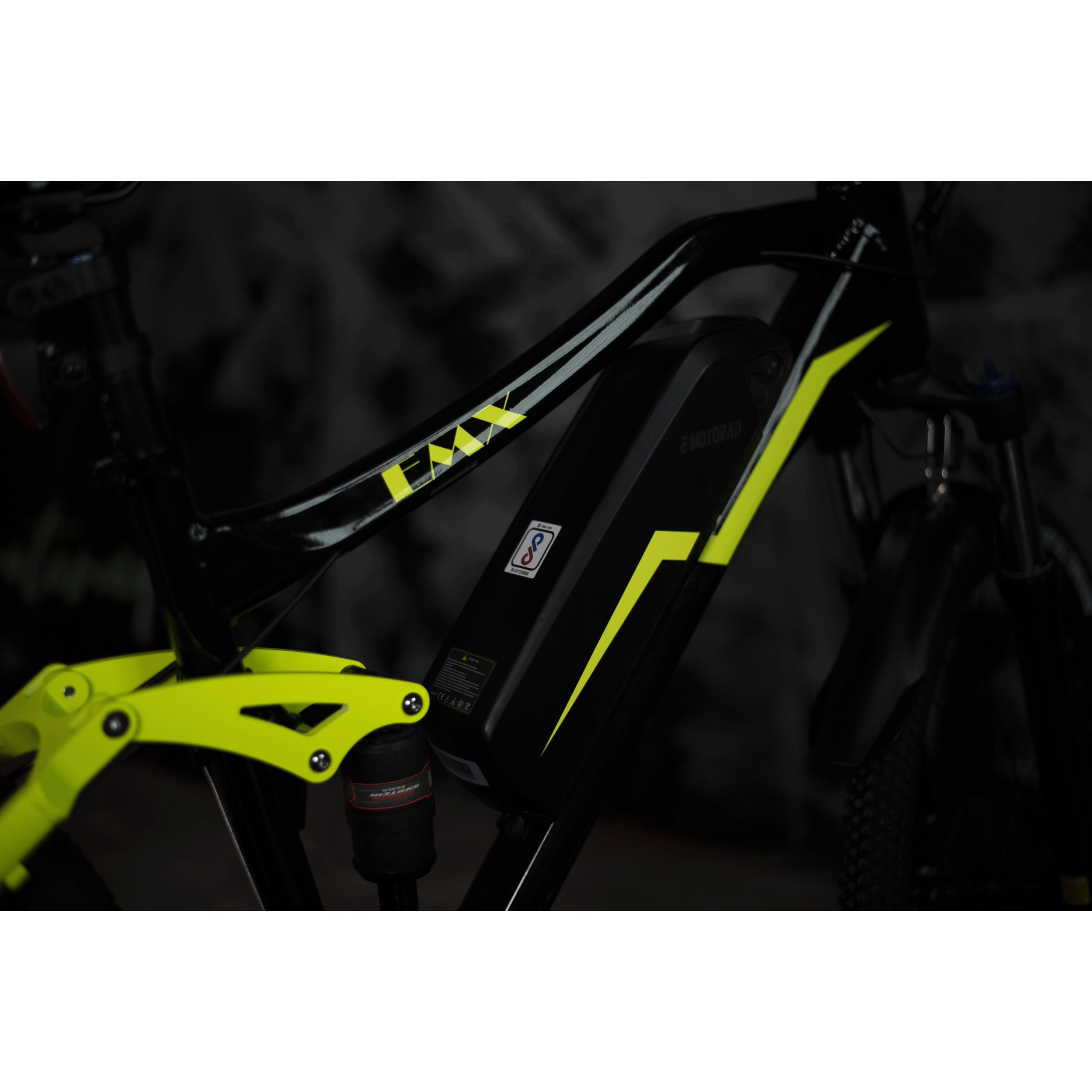 E MOTORAD EMX Electric Bike (25Kmph, M042, Multicolor)_3