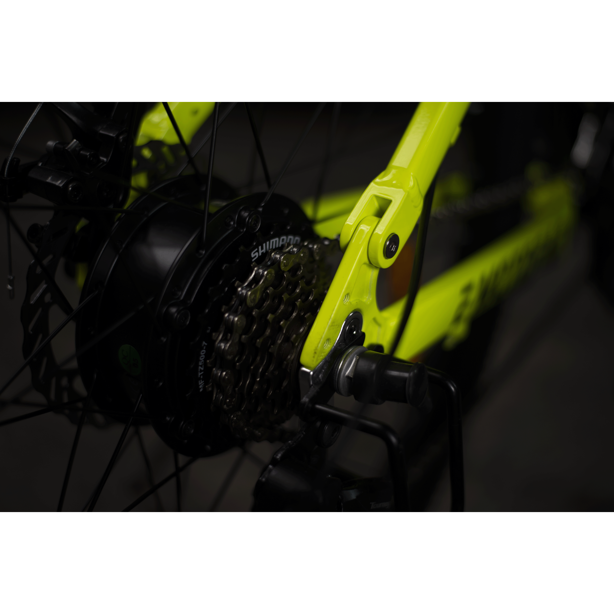 E MOTORAD EMX Electric Bike (25Kmph, M042, Multicolor)_4