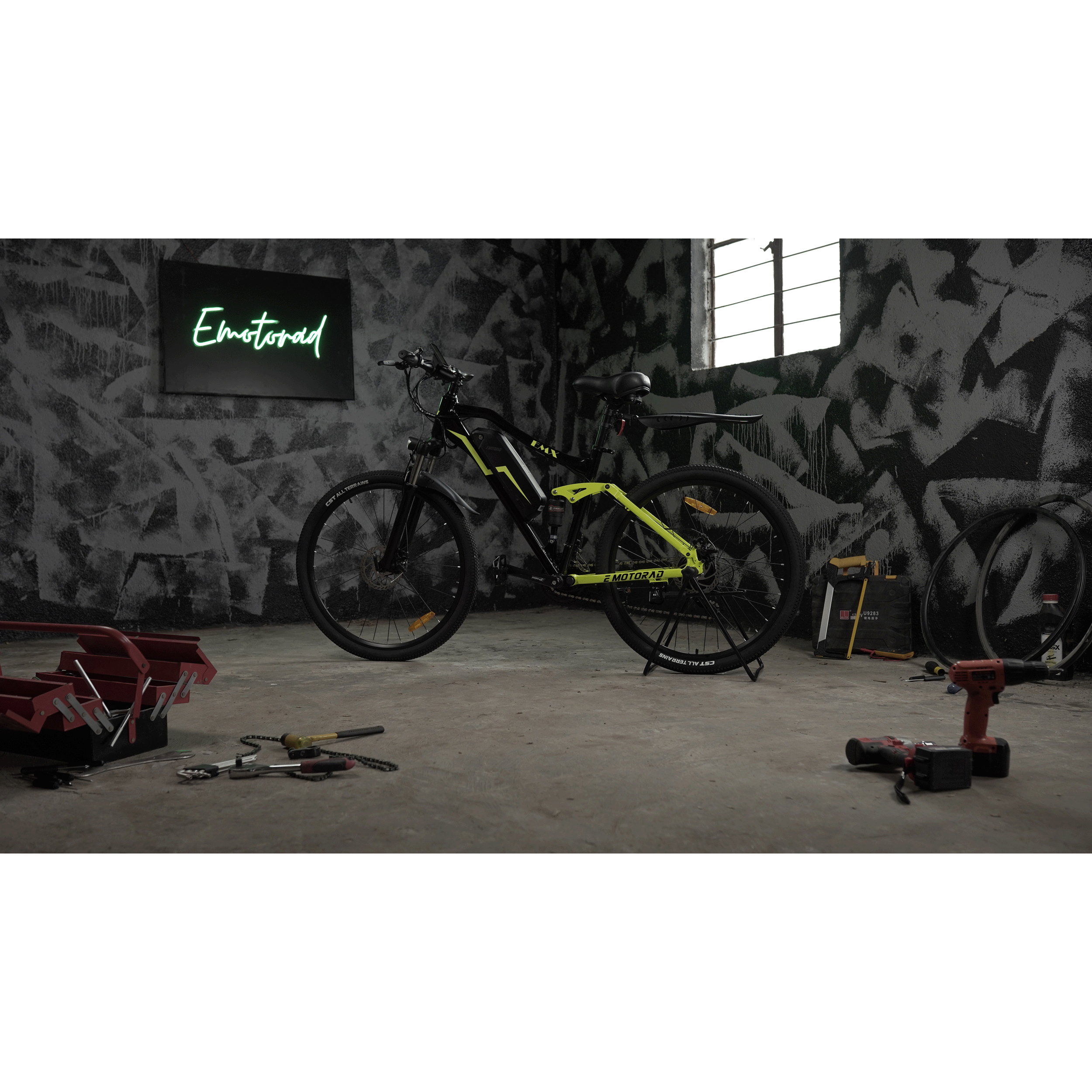 E MOTORAD EMX Electric Bike (25Kmph, M042, Multicolor)_8