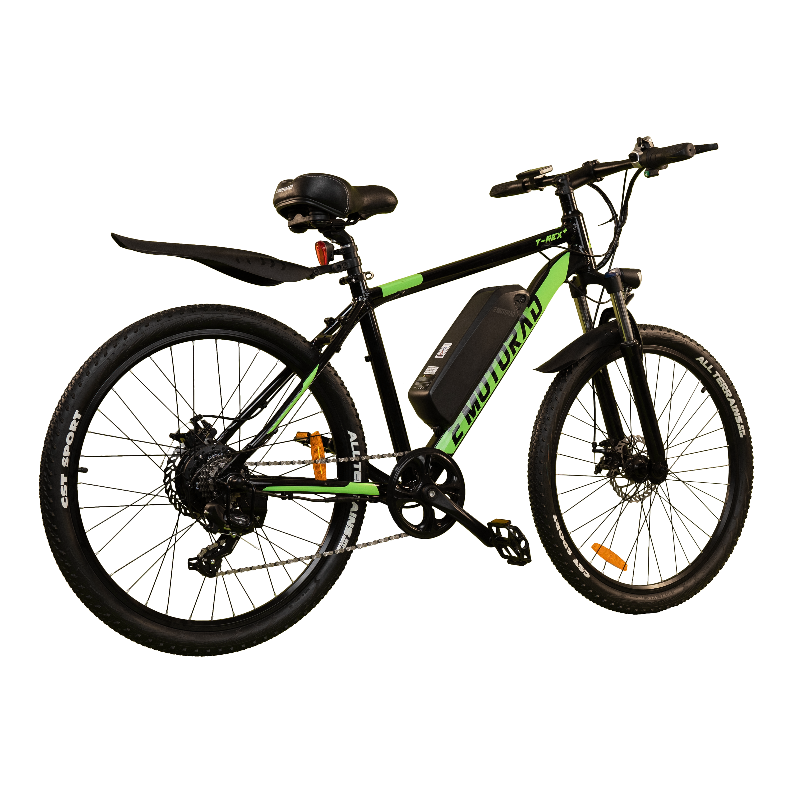 E MOTORAD T-REX+ 250 Watts Electric Cycle (Dual Disc Brakes, M006, Green)_7