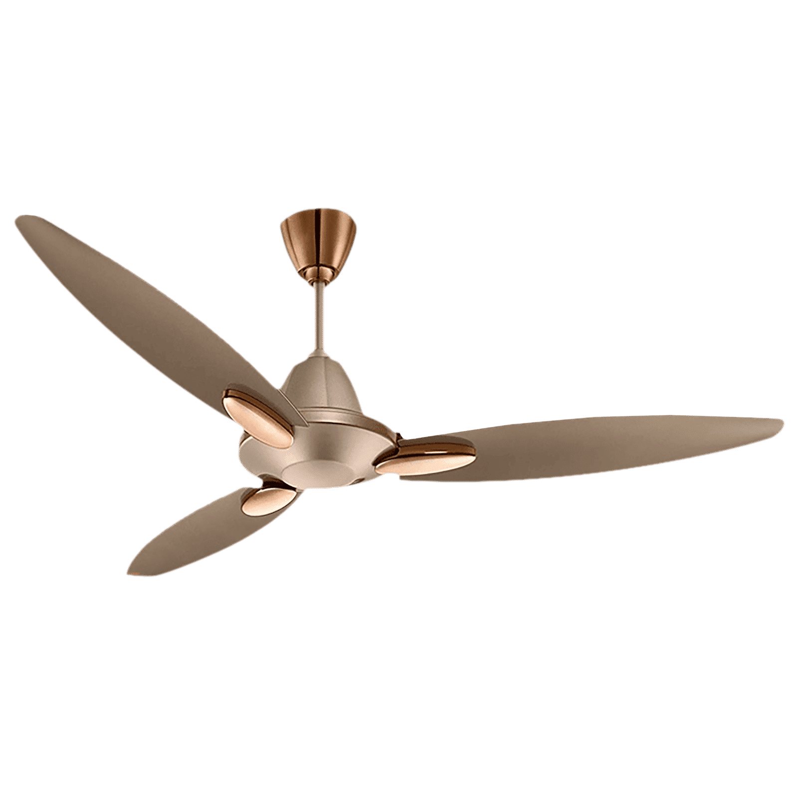 USHA Bloom Daffodil 1 Star 1250mm 3 Blade Electroplated Finish Ceiling Fan (Dust Resistant, Golden & Brown) USHA Bloom Daffodil 1 Star 1250mm 3 Blade Electroplated Finish Ceiling Fan (Dust Resistant, Golden & Brown)_1