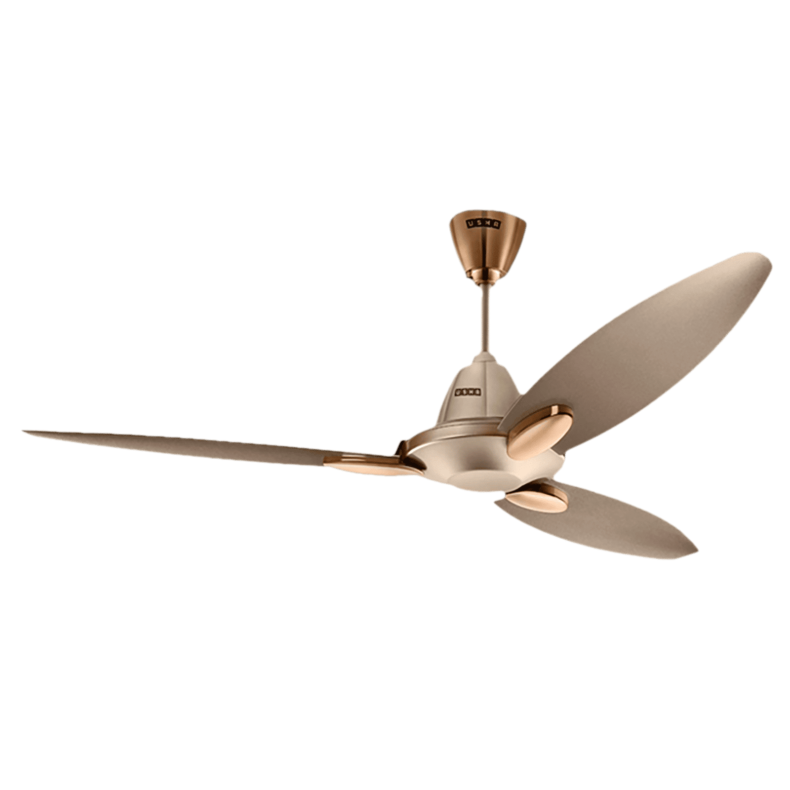 USHA Bloom Daffodil 1 Star 1250mm 3 Blade Electroplated Finish Ceiling Fan (Dust Resistant, Golden & Brown) USHA Bloom Daffodil 1 Star 1250mm 3 Blade Electroplated Finish Ceiling Fan (Dust Resistant, Golden & Brown)_7