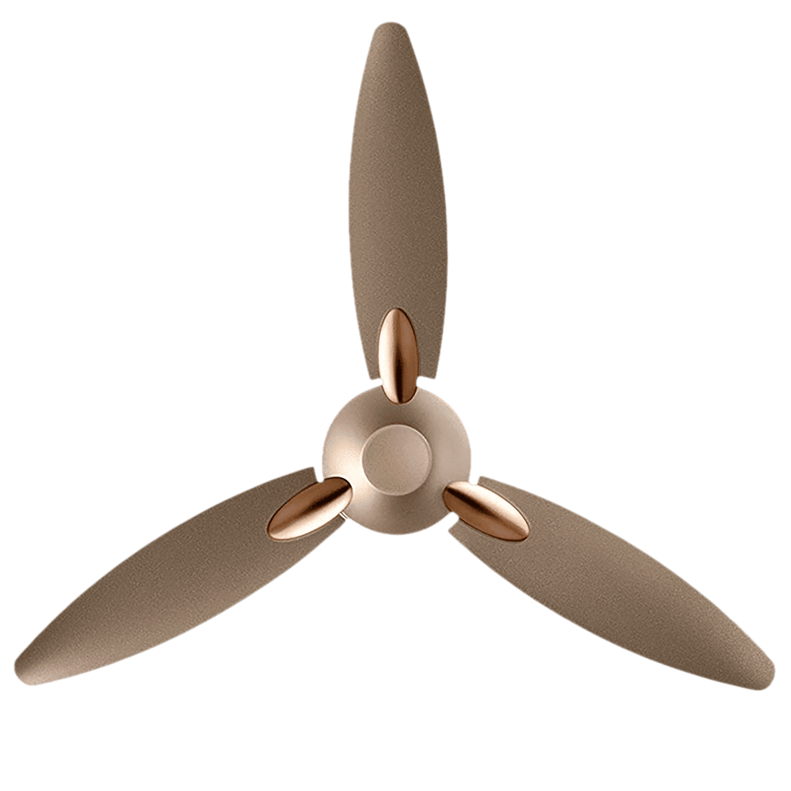 USHA Bloom Daffodil 1 Star 1250mm 3 Blade Electroplated Finish Ceiling Fan (Dust Resistant, Golden & Brown) USHA Bloom Daffodil 1 Star 1250mm 3 Blade Electroplated Finish Ceiling Fan (Dust Resistant, Golden & Brown)_11