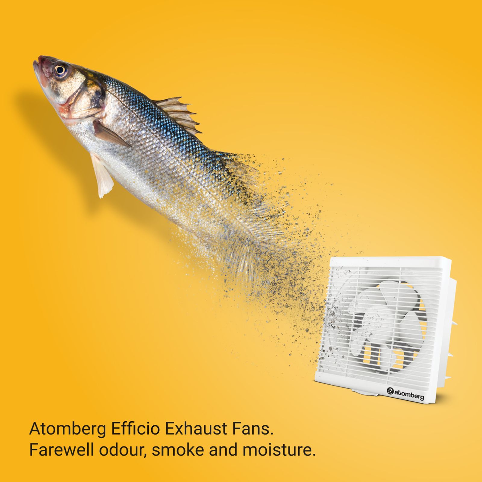 atomberg Efficio 6 Inch 150mm Exhaust Fan with BLDC Motor (Silent Operation, White)_6