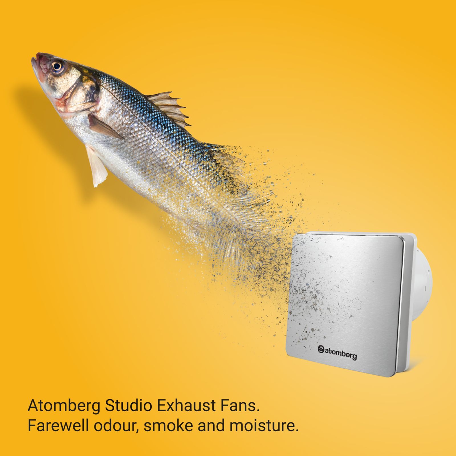 atomberg Studio 6 Inch 150mm Exhaust Fan with BLDC Motor (Double Ball Bearings, Stainless Steel)_8