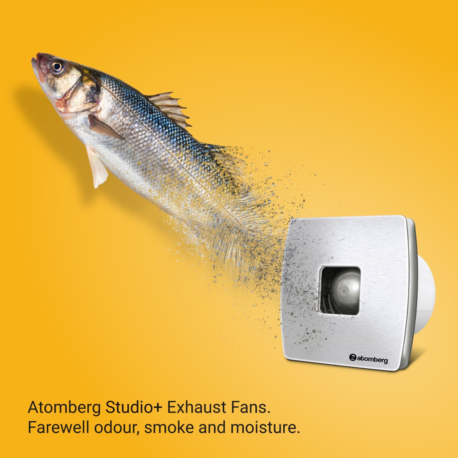 atomberg Studio Plus 6 Inch 150mm Exhaust Fan with BLDC Motor (Silent Operation, Stainless Steel)_5