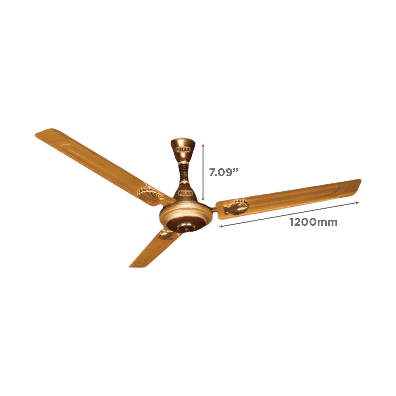 POLAR Megamite TT Deco 1 Star 1200mm 3 Blade Copper Motor Ceiling Fan (Rust Resistant, Champagne)_2