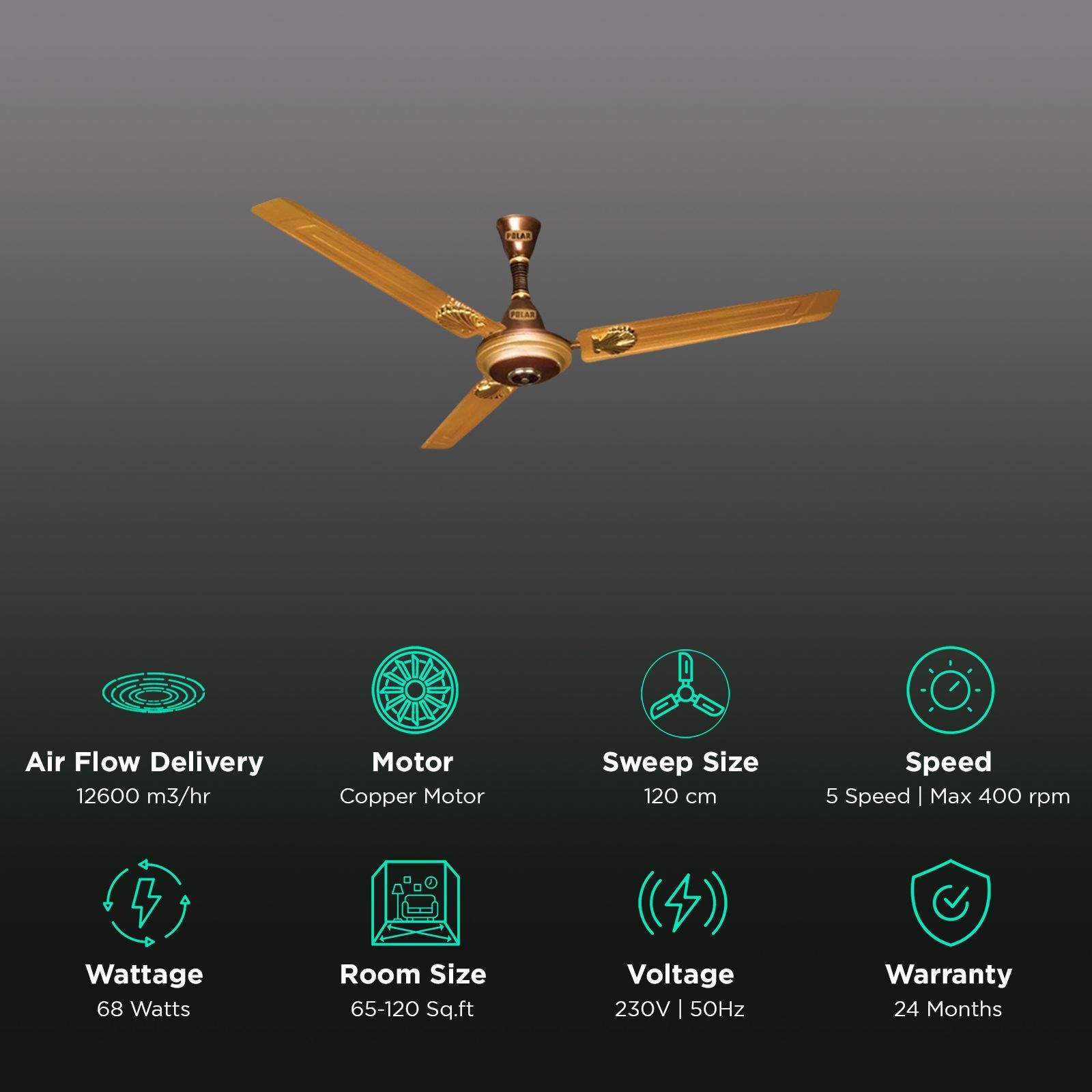 POLAR Megamite TT Deco 1 Star 1200mm 3 Blade Copper Motor Ceiling Fan (Rust Resistant, Champagne)_3