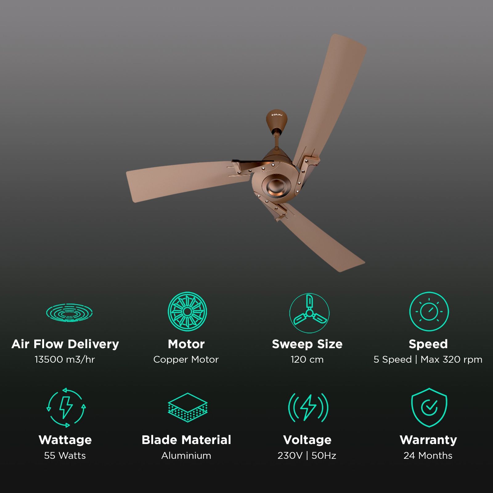 BAJAJ Euro Prime 1 Star 1200mm 3 Blade Anti Bacterial Ceiling Fan (Dual Tone Trims, Brown & Bronze)_3