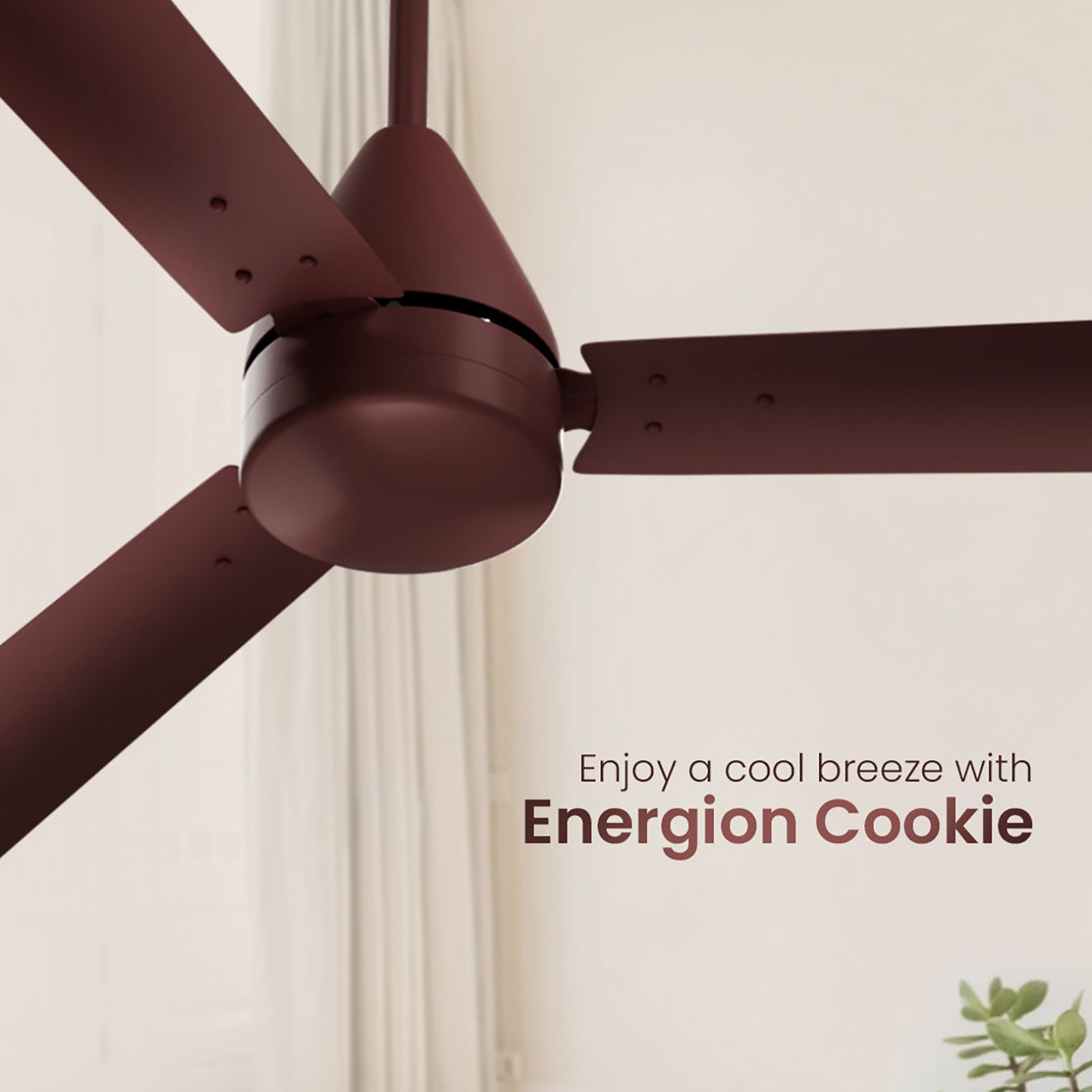 Crompton Energion Cookie 1200mm 3 Blade BLDC Motor Ceiling Fan with Remote (Superior Air Delivery, Brown)_7