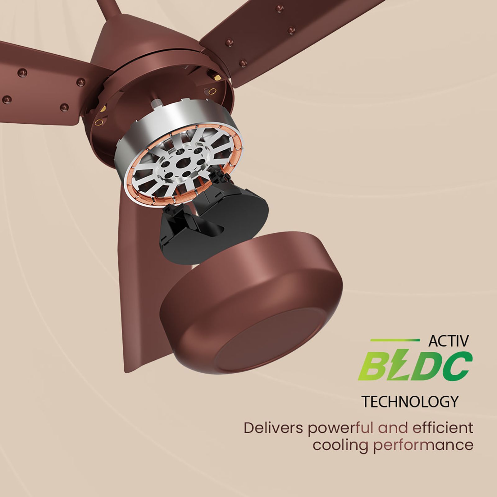 Crompton Energion Cookie 1200mm 3 Blade BLDC Motor Ceiling Fan with Remote (Superior Air Delivery, Brown)_8