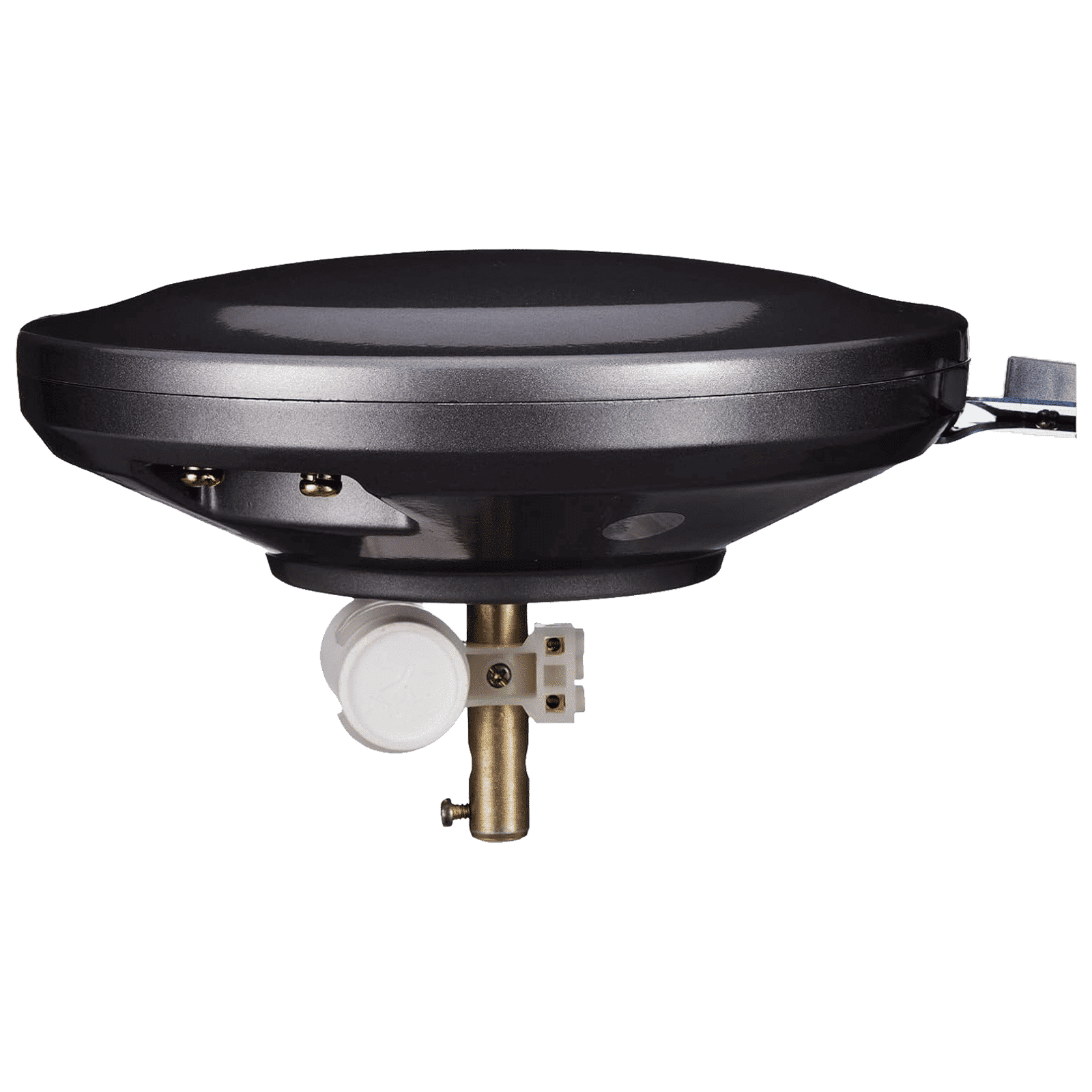 USHA Bloom Magnolia 1250mm 3 Blade Copper Motor Ceiling Fan (Dust Resistant, Sparkle Grey and Blue) USHA Bloom Magnolia 1250mm 3 Blade Copper Motor Ceiling Fan (Dust Resistant, Sparkle Grey and Blue)_5