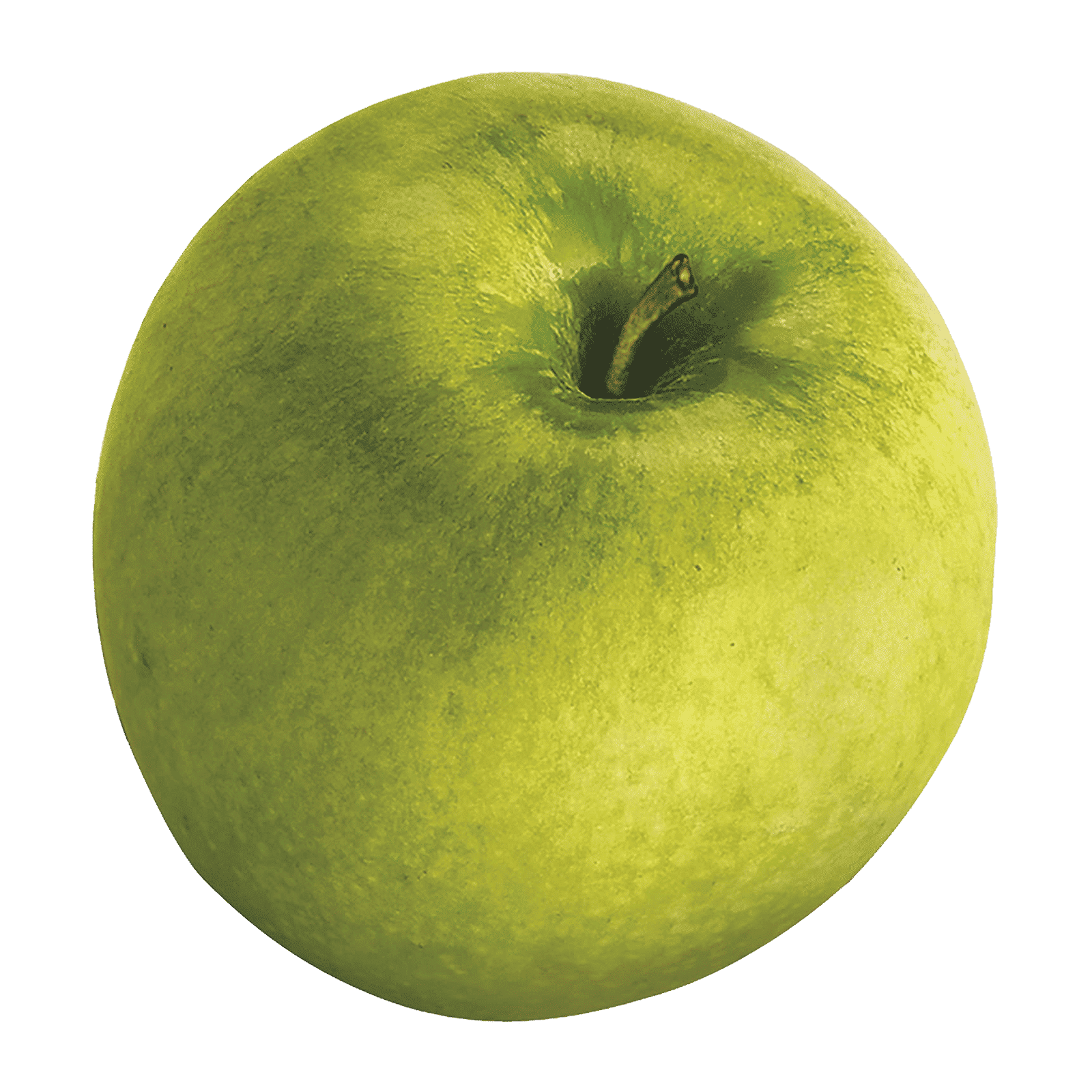 Hamilton Beach 850 Watt 1 Jar Juicer (Dishwasher Safe, Silver)_6