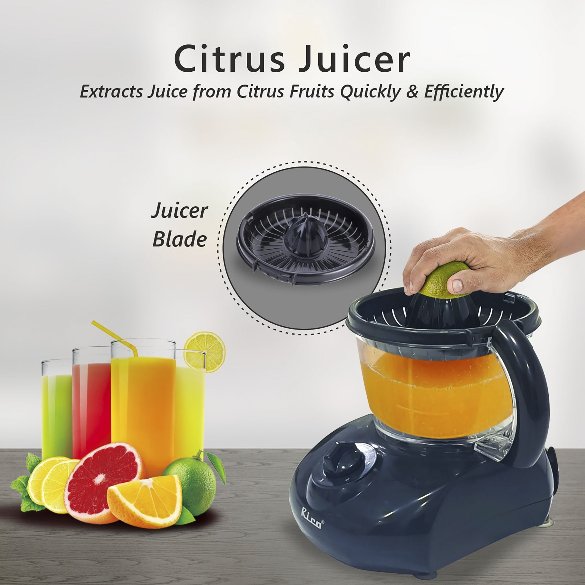 Rico 400 Watt Food Processor with 3 Blades (Black) Rico 400 Watt Food Processor with 3 Blades (Black)_12