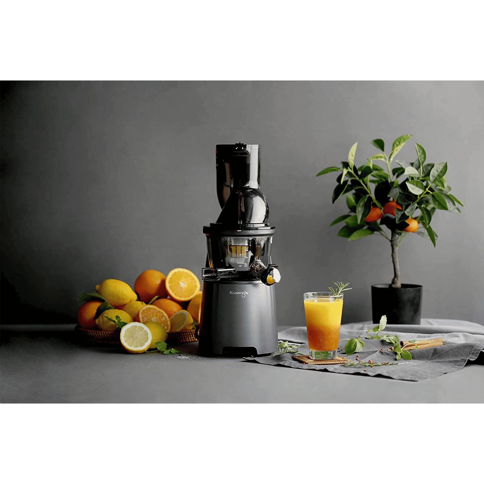 Kuvings EVO810 240 Watt 1 Jar Cold Press Slow Juicer (50 RPM, 3-in-1 Multi Function, Black) Kuvings EVO810 240 Watt 1 Jar Cold Press Slow Juicer (50 RPM, 3-in-1 Multi Function, Black)_6