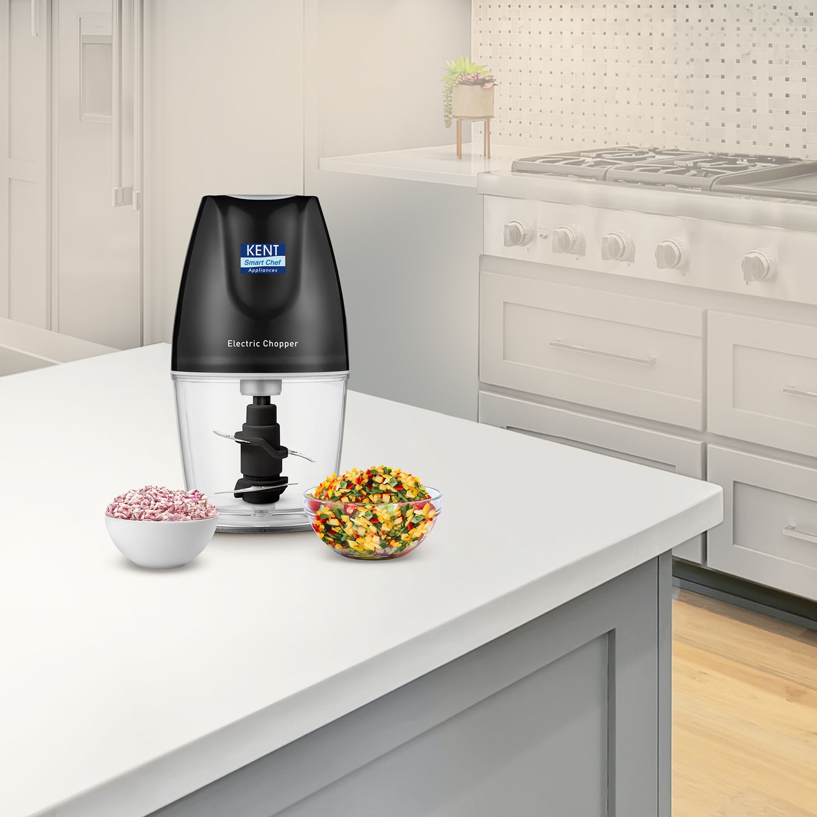 KENT 250 Watt Vegetable Chopper with 2 Blades (Black) KENT 250 Watt Vegetable Chopper with 2 Blades (Black)_8