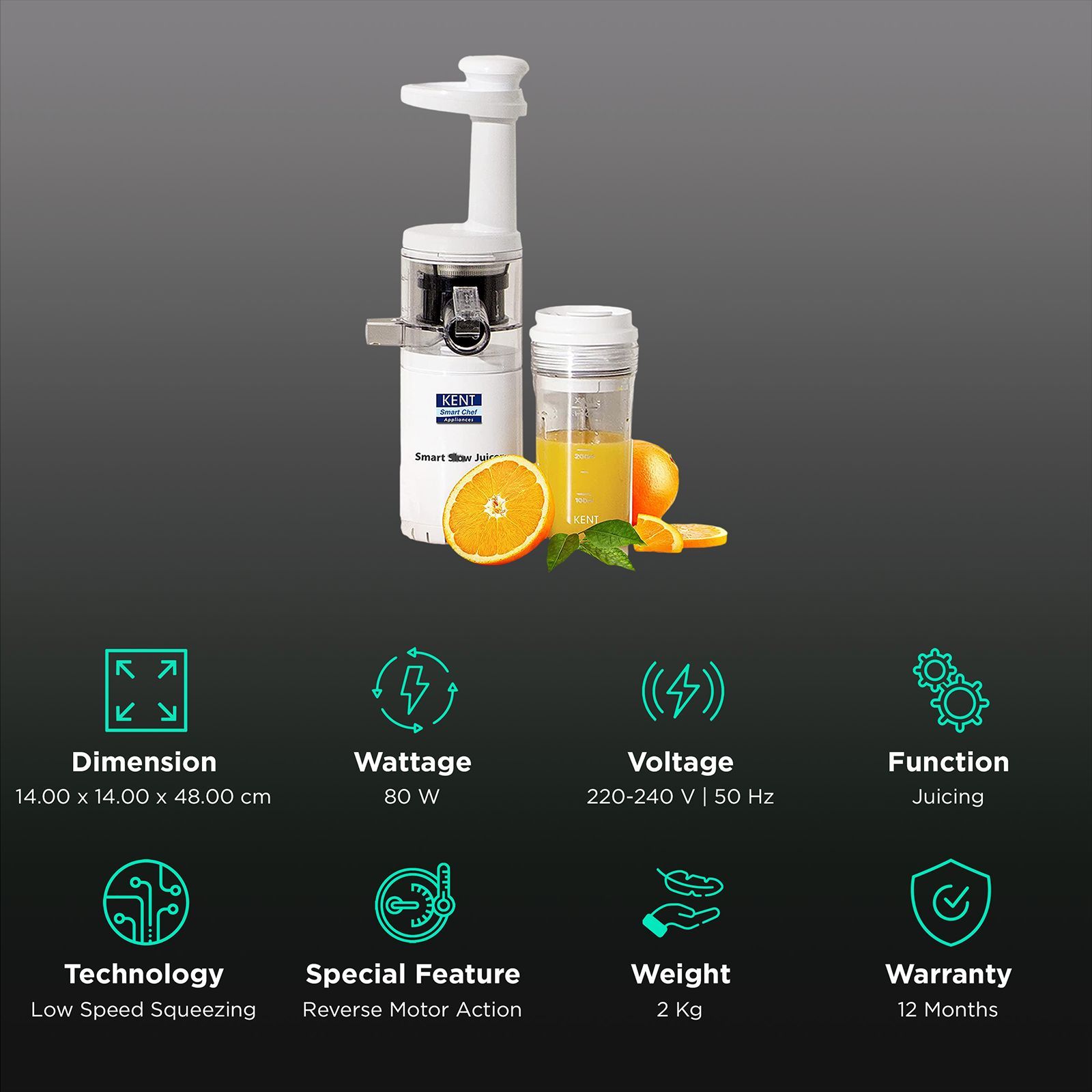 KENT Smart 80 Watt 1 Jar Slow Juicer (Low Speed Squeezing, White)_2