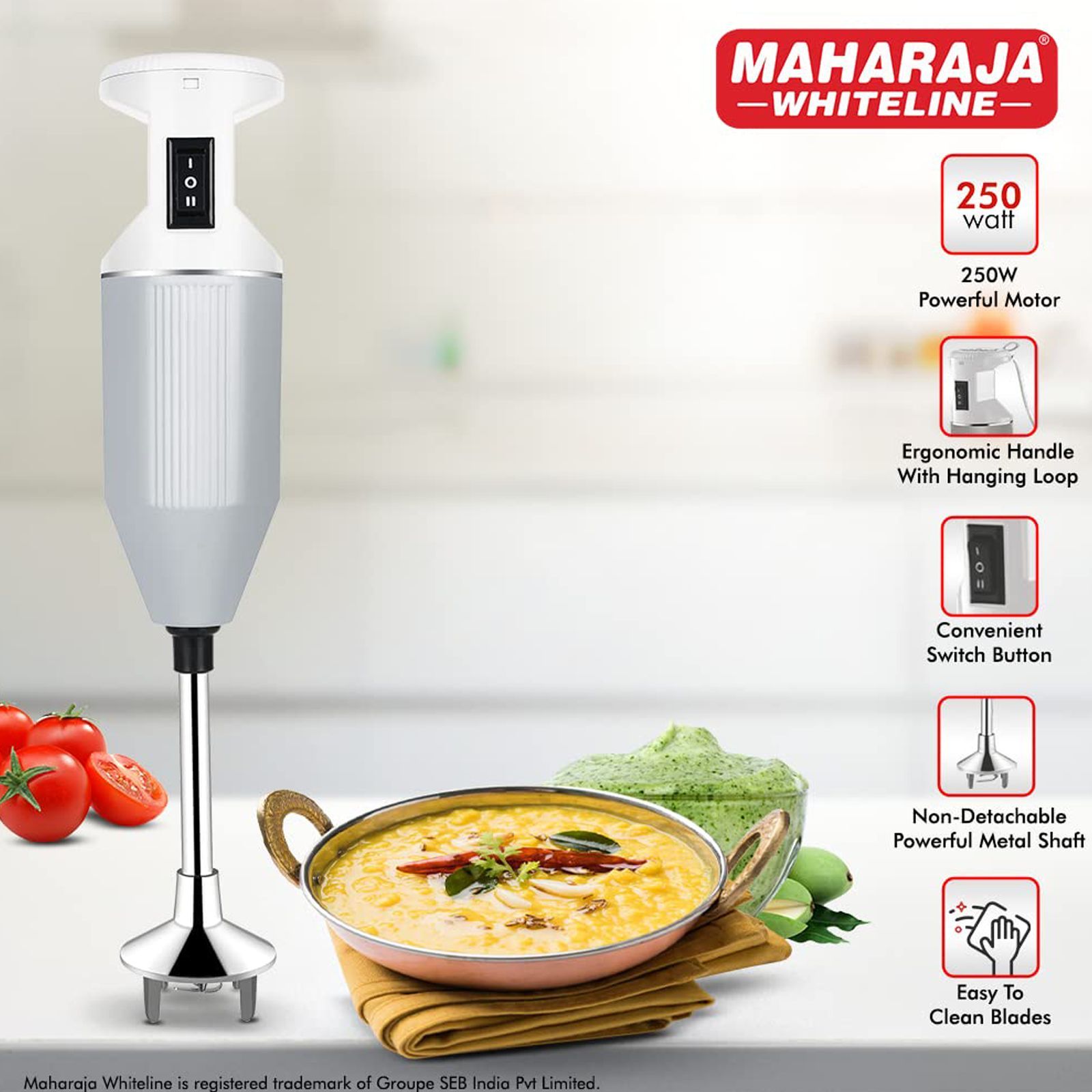 MAHARAJA WHITELINE Torsio Plus 250 Watt Hand Blender with 4 Attachments (Convenient Switch Button, Grey)_7