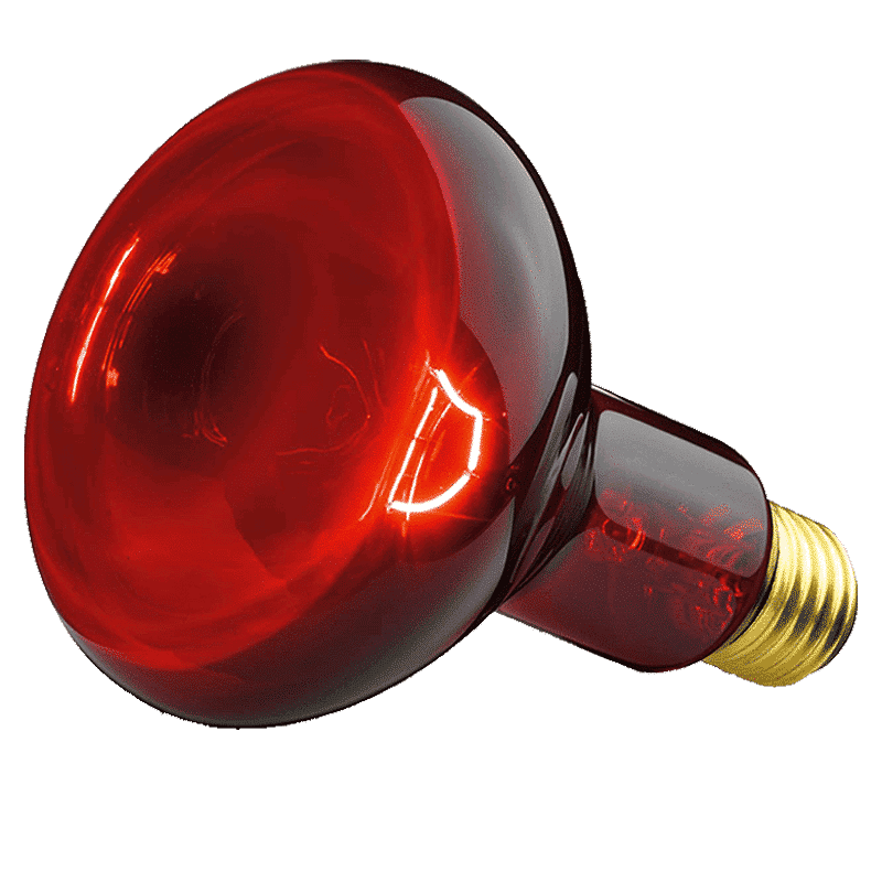 beurer Infrared Lamp (Soothing Heat, IL11, White)_4