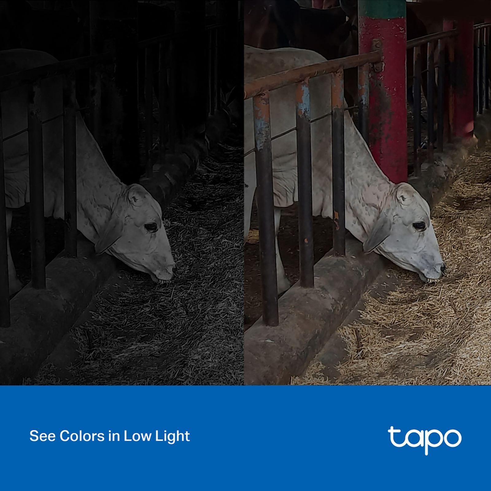 tp-link Tapo C320WS Outdoor CCTV Security Camera (IP66 Weatherproof, White) tp-link Tapo C320WS Outdoor CCTV Security Camera (IP66 Weatherproof, White)_5