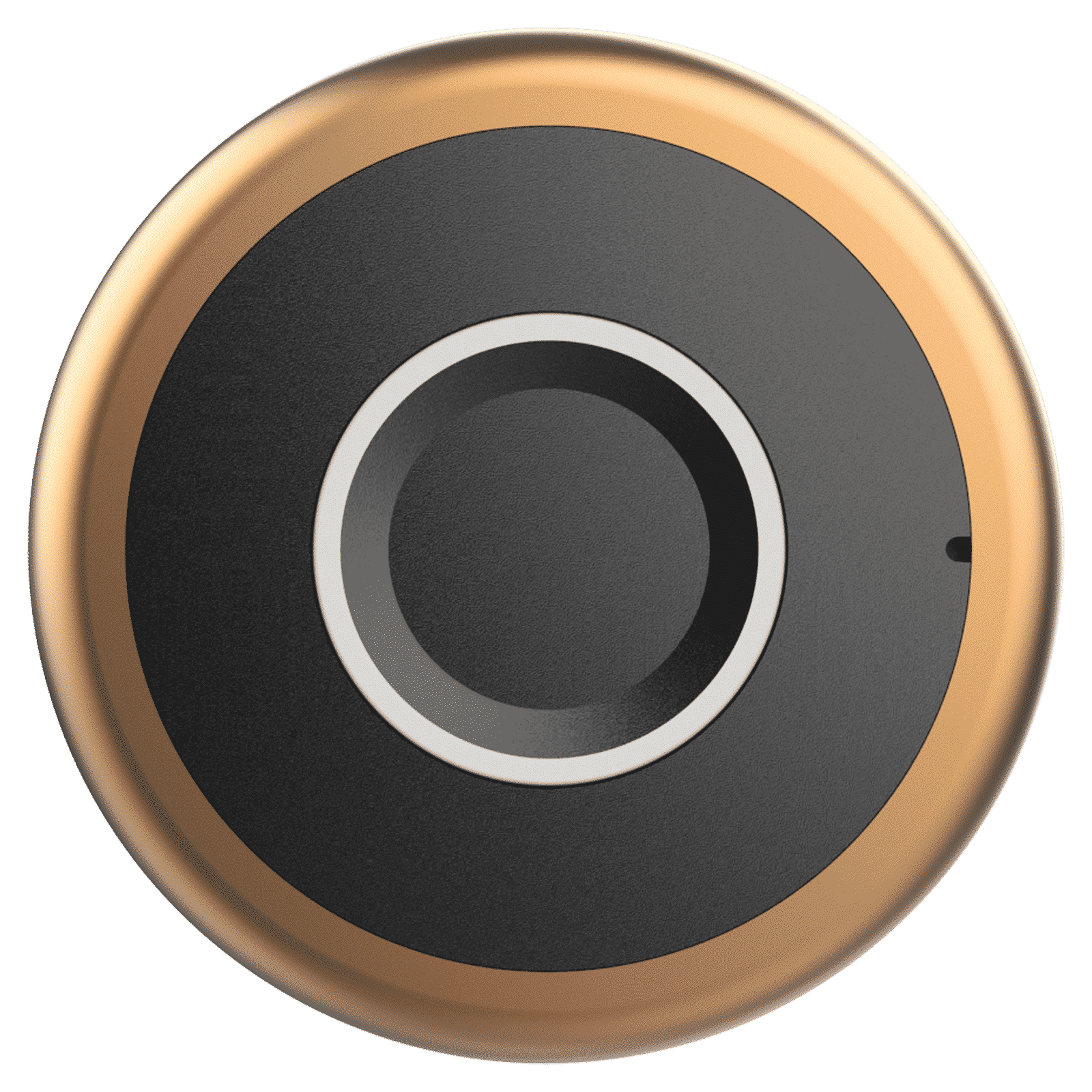 Yale YLDRPC Digital Smart Lock (LED Light & Sound Indicator, Rose Gold) Yale YLDRPC Digital Smart Lock (LED Light & Sound Indicator, Rose Gold)_1