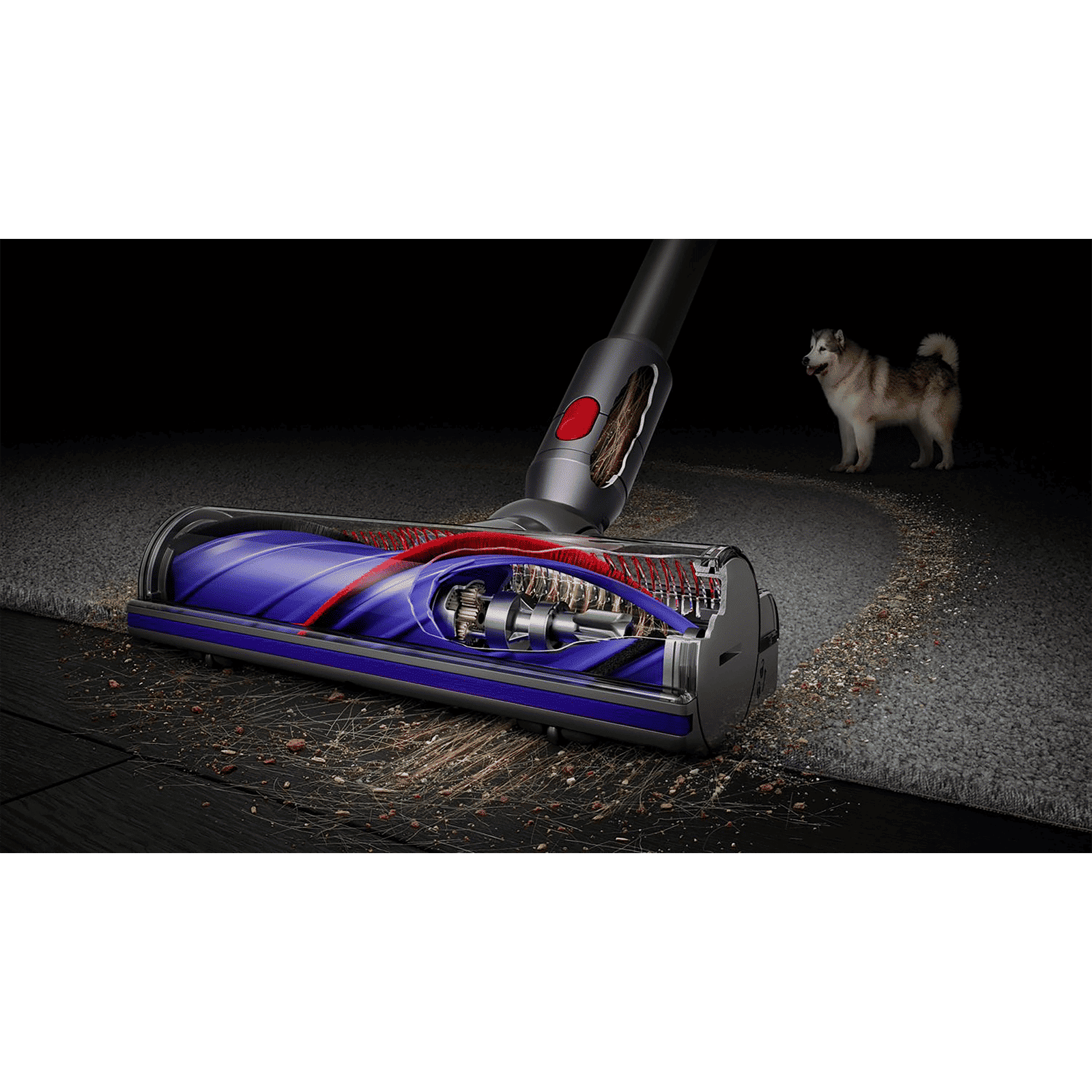 dyson V8 Absolute 115W Cordless Dry Vacuum Cleaner with De-tangling Technology (Acoustic Control, Grey)_6