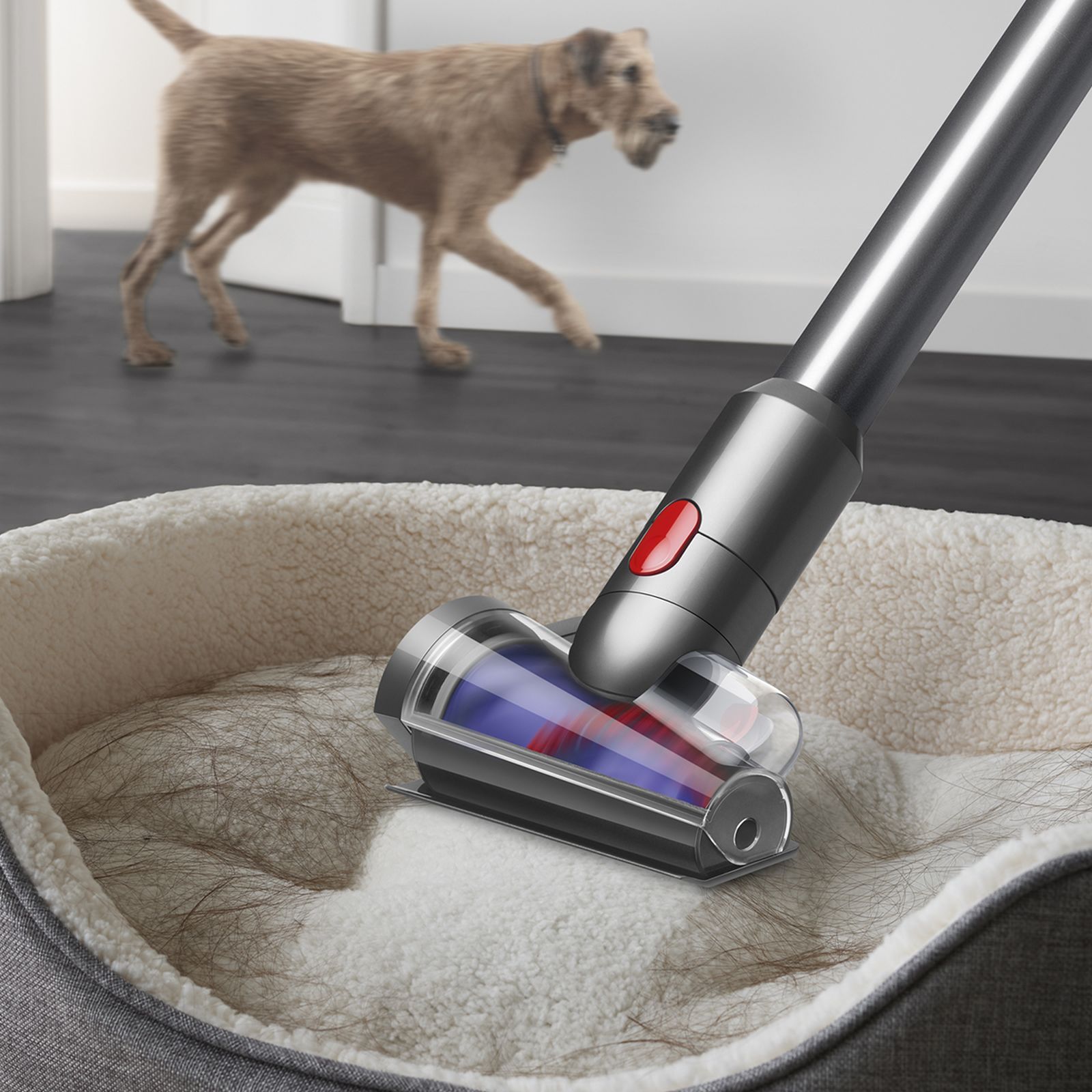 dyson V12 Detect Slim Absolute 150W Cordless Dry Vacuum Cleaner with Laser & Dust Detect Technology (Scientific Proof, Yellow & Nickel) dyson V12 Detect Slim Absolute 150W Cordless Dry Vacuum Cleaner with Laser & Dust Detect Technology (Scientific Proof, Yellow & Nickel)_8