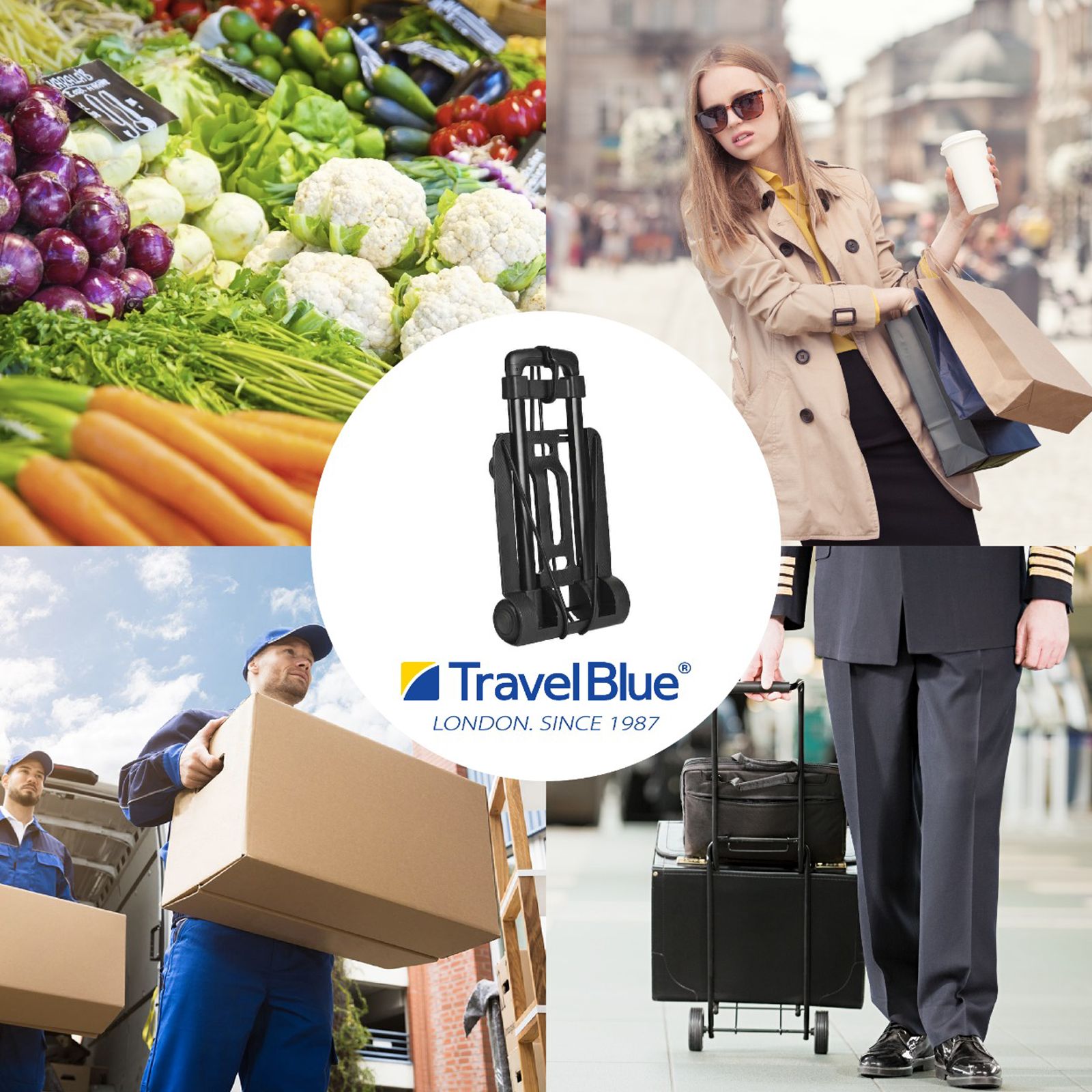 TRAVEL BLUE Deluxe Luggage Trolley (Foldable, 573, Black)_9