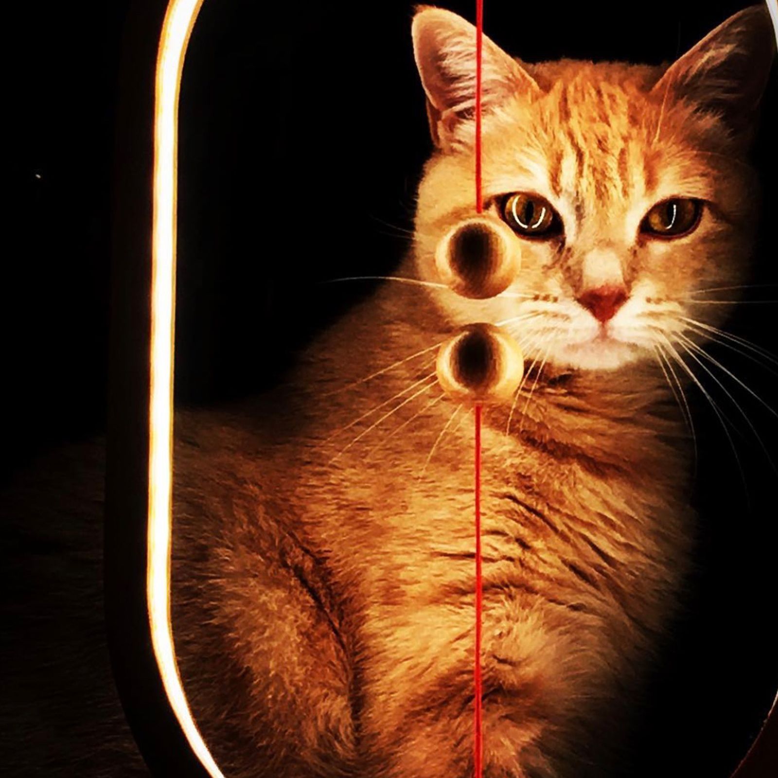 DesignNest Heng Balance 5 Watts LED Table Lamp (249 Lumens, 20000 Hours Life Span, DH0075RD/HBLEUC, Red)_5